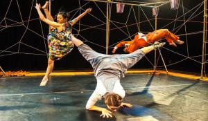 Barrowland Ballet Audition