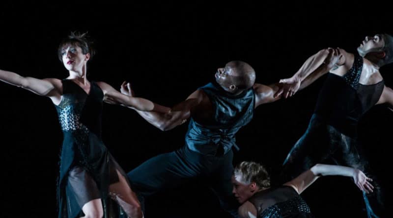 Carolyn Dorfman Dance is looking for a female dancers - audition