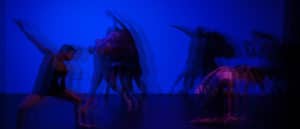 Spark Movement Collective seeks well-rounded, athletic female and male dancers - audition