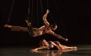 BodyVox is seeking professional dancers (m/f) - audition