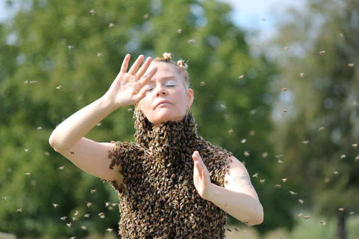 This Woman Dance With Over 10 000 Honey Bees On Her Body Au Di