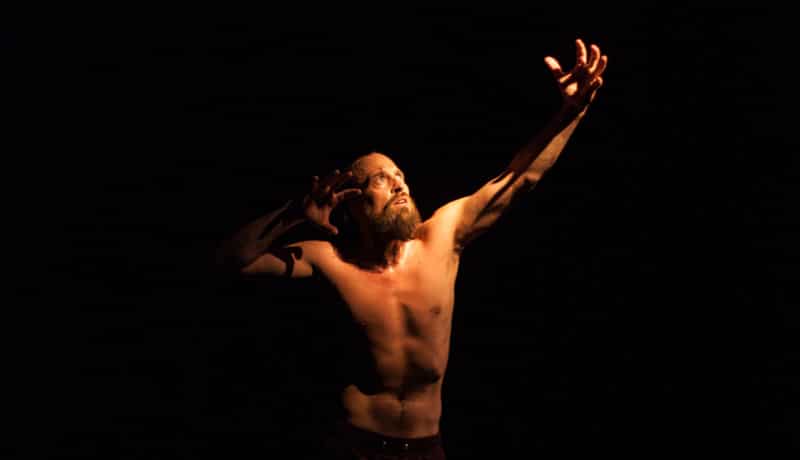 Panorama Dance Theater is Looking for 5 Male Physical Performers - audition