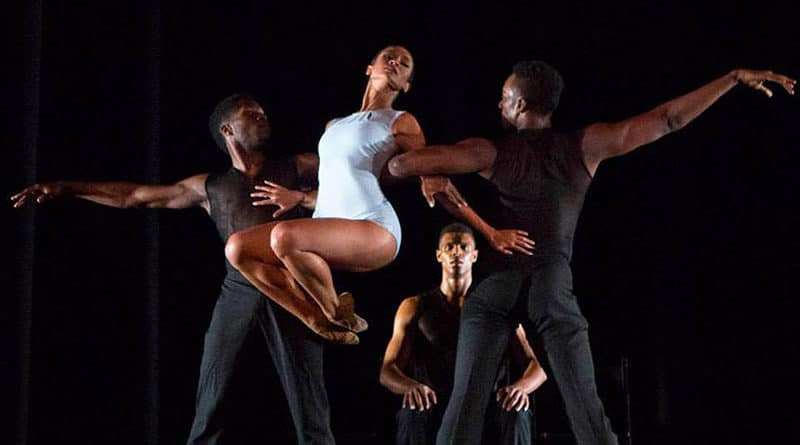 Collage Dance Collective is Seeking Male and Female Dancers - audition