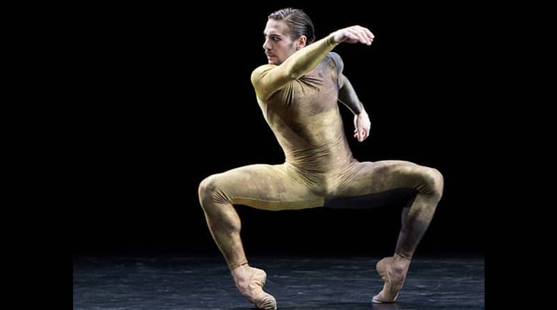 BallettCompagnie Oldenburg is Looking for a Tall Male Dancer - audition