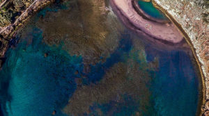 OCEANS AND FLOW Workshops – A Dance Journey in Water and Land in Azores island