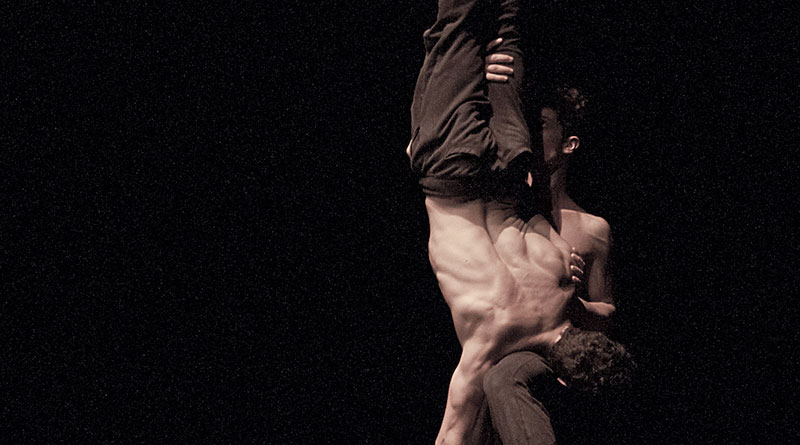 Opus Ballet Company is Looking for Male Dancers