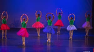Ballet des Amériques is Looking for Classically and Modern Trained Dancers