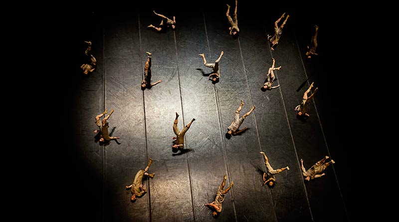 Nuremberg Ballet is Looking for a Male and Female Dancers for 2018/2019 Season