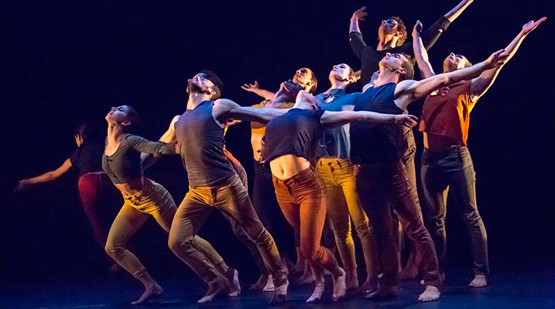 KAMEA DANCE COMPANY Will Hold an Audition for Male and Female Dancers in Amsterdam
