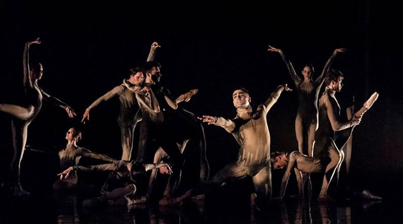 The Israel Ballet is Looking for Male Dancers