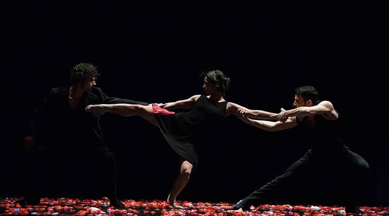 Tanzcompagnie Landesbühnen Sachsen is Looking for a Male Dancer for the Season 2019/20