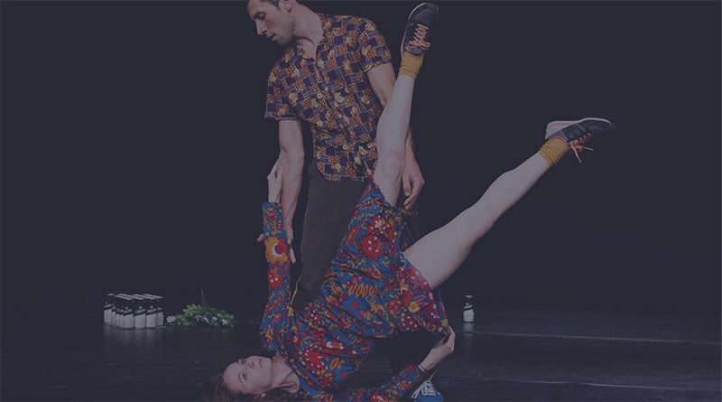 ANFIBIA PROGRAM 2019/2020 - Multi-disciplinary training project for performers and contemporary creators