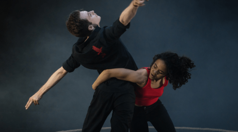 Mark Bruce Company is Looking for Male and Female Dancers of all Ethnicities