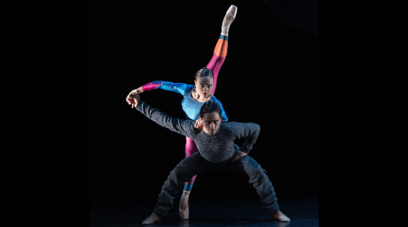 The BallettCompagnie Oldenburg is Looking for Male and Female Dancers