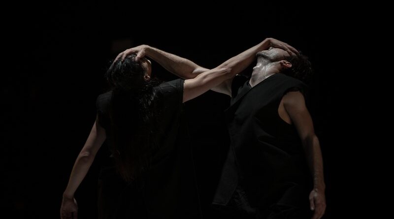 The Company Ogmia Directed by Eduardo Vallejo is Looking for Dancers