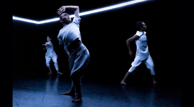 Johanna Nuutinen + Collaborators are Looking for 1-3 Dancers for 2024