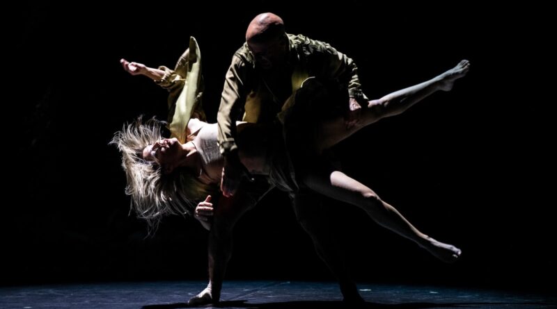Modern Dance Theater Istanbul "MDTistanbul" is Looking for Contemporary Female and Male Dancers