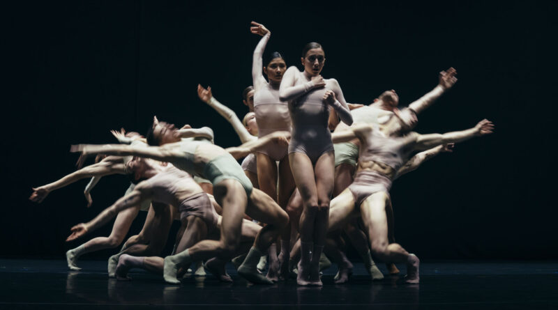 Opera Ballet Vlaanderen is Looking for Dancers for Immediate and Future Positions