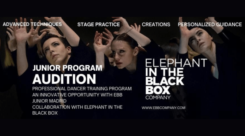 EBB PROFESSIONAL DANCE PROGRAM AUDITIONS