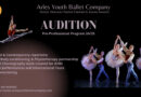Arles Youth Ballet Company AUDITION 24/25