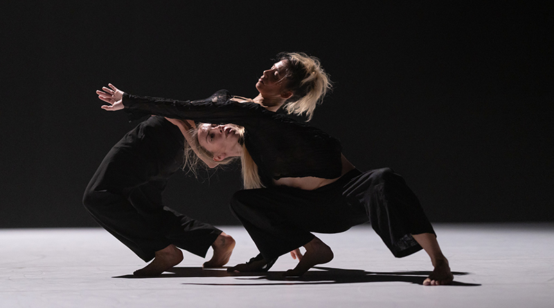 Compagnie Linga is Looking for Male and Female Dancers