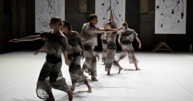 Tanz Company Gervasi is Looking for Female and Male Dancers