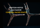 Compañia Nacho Duato is looking for a Male Dancer for an Internship