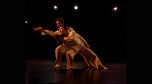 Ballet Company of Schleswig Hosteinischen Landestheater is Looking for Dancers