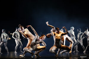 Ballett Trier is Looking for one Female Dancer for the Upcoming Season 2024/25