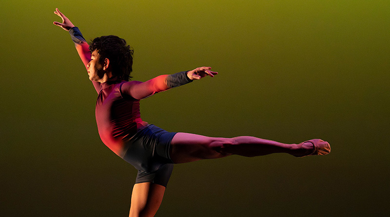 Dissonance Dance Theatre is seeking to hire full-time classically – trained dancers with a desire for contemporary form for its 2024 – 2025 season. We are seeking female dancers