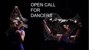 RIGOLO TANZTHEATER is Looking for Male and Female Contemporary Dancers for a New Production