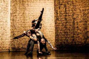 JUNIOR BALLET PROJECT IS LOOKING FOR YOUNG DANCERS / SEASON 24-25