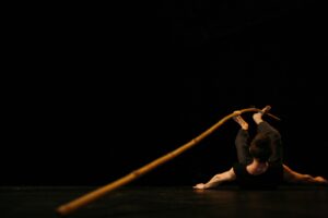 Dame de Pic/Cie Karine Ponties is Looking for a Performer (F/M/X)