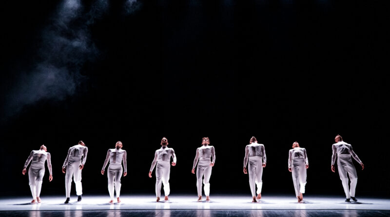 Compagnia Opus Ballet is Looking for Dancers