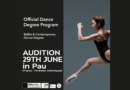 Diploma in choreographic education - Audition 29TH June in PAU (France - Pyrénées-Atlantiques