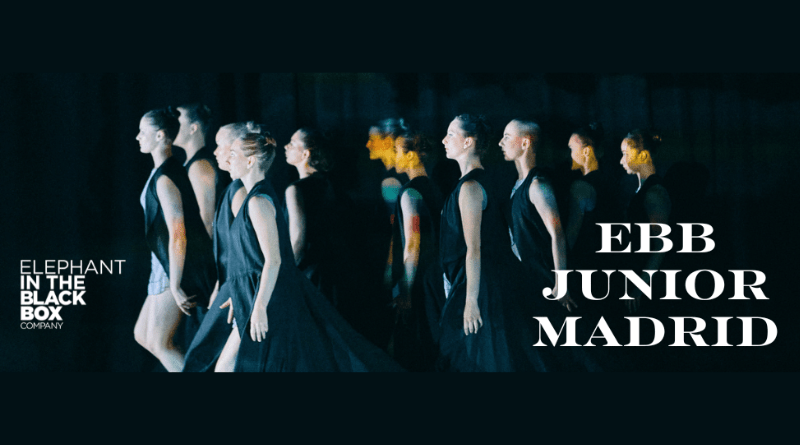 EBB PROFESSIONAL DANCE PROGRAM AUDITIONS