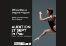 Diploma in choreographic education - Audition 21st September in PAU (France - Pyrénées-Atlantiques