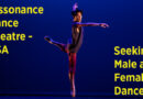 Dissonance Dance Theatre is Seeking for Male and Female Classical/Contemporary Ballet Dancers - For Immediate Hire