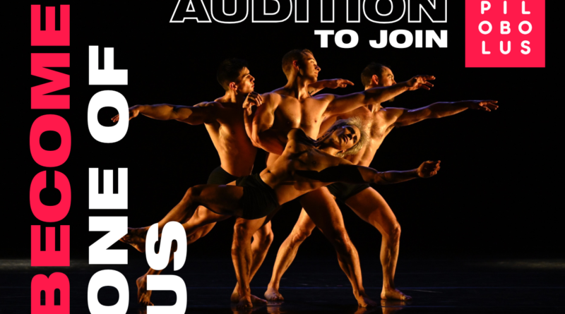 Pilobolus Seeks Dancers