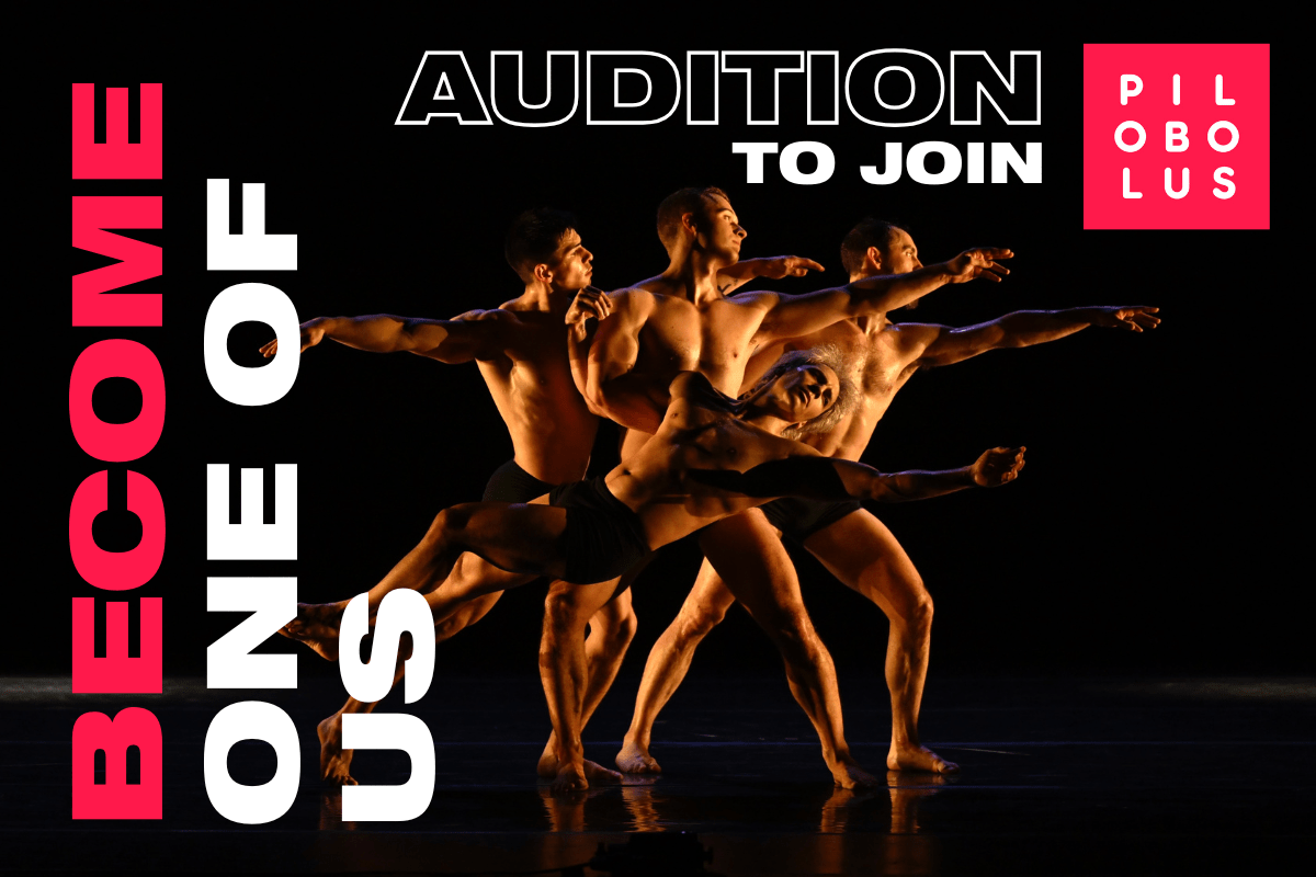 Pilobolus Seeks Dancers