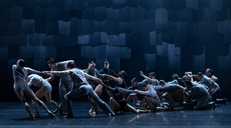 Poznań Opera Ballet is Seeking Male and Female Dancers for the 2024/2025 Season