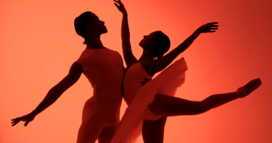 The Art of Ballet Summer Intensive in Amsterdam