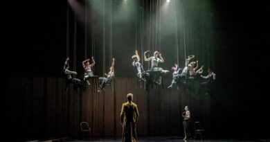 The Székesfehérvár Ballet Theatre is Looking for Male and Female Dancers for the 2025-2026 Season