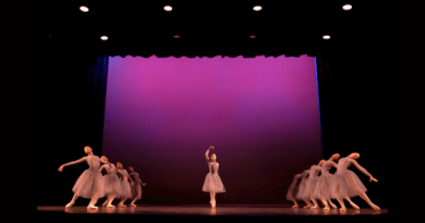 Dance Collaborative Canada: Training for International Students