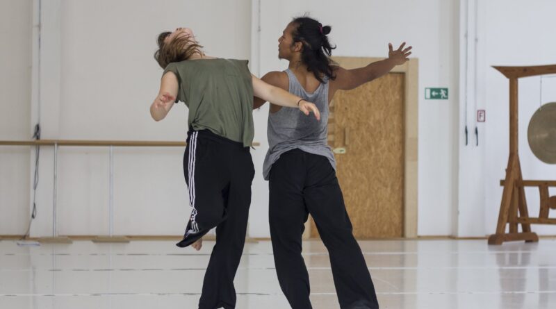 SOZO - Foundation Course - intensive dance training