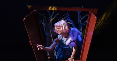 BallettCompagnie Oldenburg is Looking for a Male Identifying Dancer for 25/26