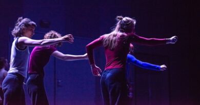 Auditions - IN MORPHOSIS Contemporary Dance Program 2025/2027