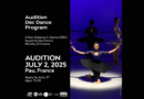 Diplôme d'Études Chorégraphiques au Conservatoire - Audition 2nd July in PAU (France - Pyrénées-Atlantiques)