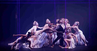 The Théâtre du Corps Pietragalla Derouault company is Looking for Male Dancers