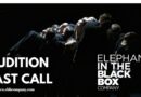 EBB JUNIOR BALLET MADRID / LAST SPOTS OPPORTUNITY